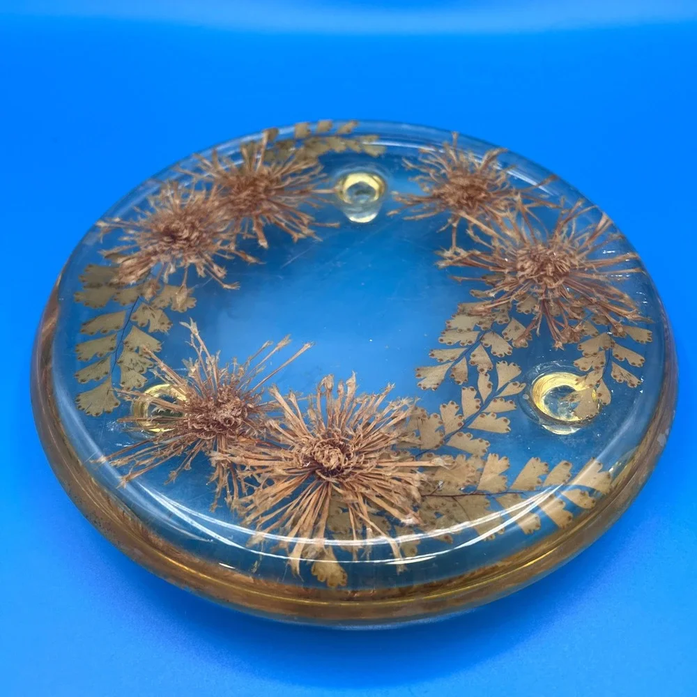 Vintage Lucite Trivet Real Dried Flowers Ferns Resin Hot Plate Clear Brown 7.5in